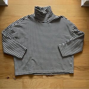 Everlane Boxy Mockneck Sweatshirt